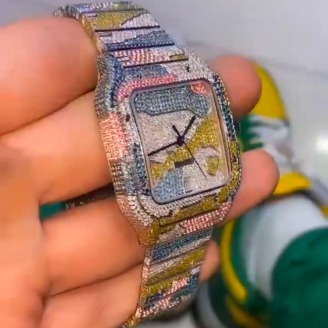 Stainless Steel Bust Down Luxury Watch for Premium Buyers